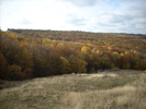 DSCN1003