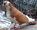 DSCF0475