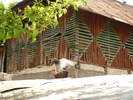 P1000665