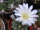 DSC08499