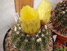 DSC08503