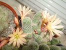 DSC05594