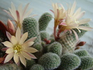 DSC05604