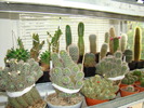 DSC05610