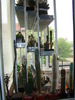 DSC05616