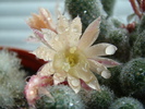 DSC05648