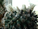 DSC05661