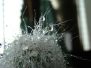 DSC05680