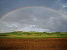 DSC06277