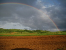 DSC06284
