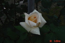 poze noi 167