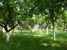30 mai 2010