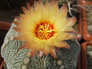 DSCF3673