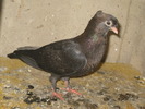IMG_5101