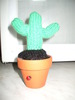 Cactus miniatural tricotat
