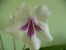 P1260849