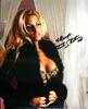 trish_stratus_photo_93