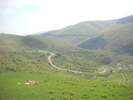 DSCN1753
