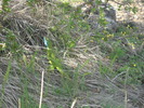 DSCN1804