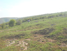 DSCN1812