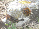 DSCN1813