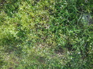 DSCN1820