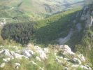 DSCN1850