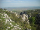 DSCN1901