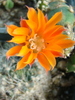 DSC03977