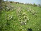 DSCN1902