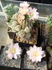 DSC04270