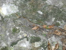 DSCN1944