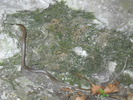 DSCN1946