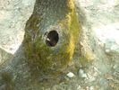 DSCN1949