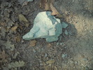 DSCN1952