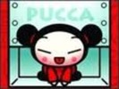 pucca