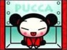 pucca