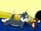 tom and jerry