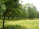 DSC02940