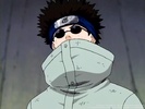 shino