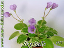 Sky Bells