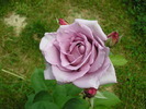 P1013494