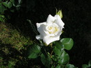 P1013560