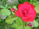 P1013565