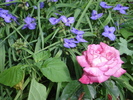 DSC08997