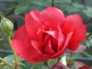 DSC09003
