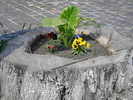 DSC08931