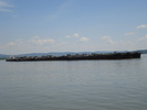 DSC08890
