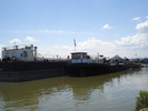 Dunarea