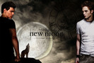 edward_vs_jacob_new_moon_wallpaper